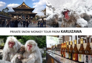 From/To Karuizawa: Snow Monkey Private Tour