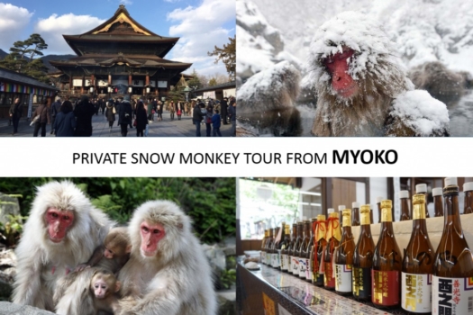 From/To Myoko: Snow Monkey Private Tour