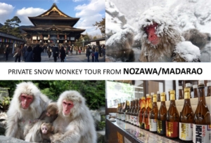 From/To Nozawa/Madarao: Snow Monkeya Private Tour