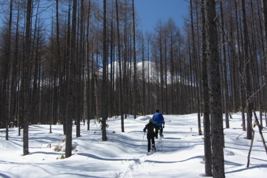 [Winter only] 2 days from Takayama to Matsumoto/Nagano through the Nakasendo Kiso Valley
